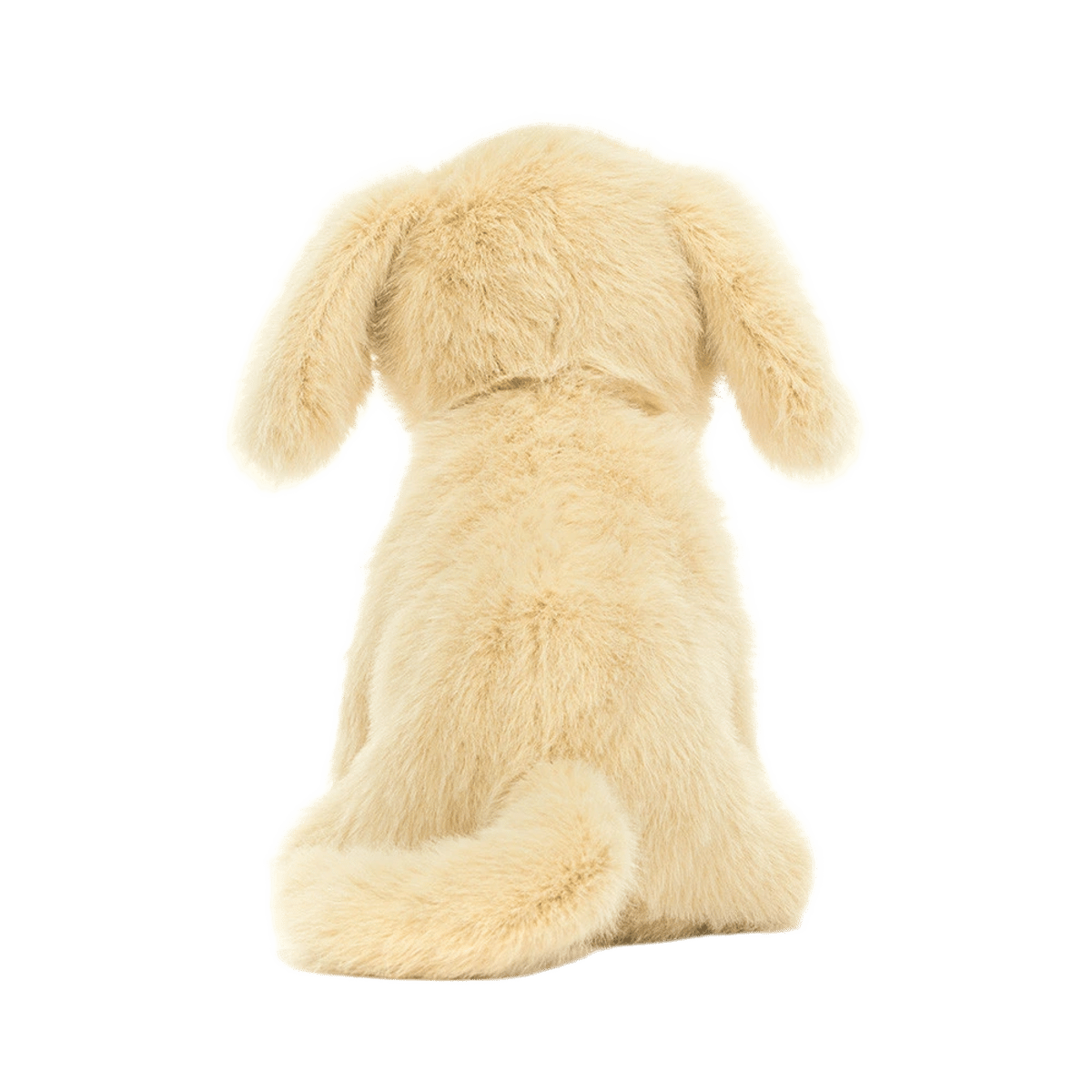 Golden Puppy
