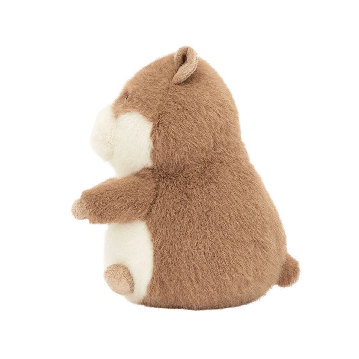 Gordy Guinea Pig