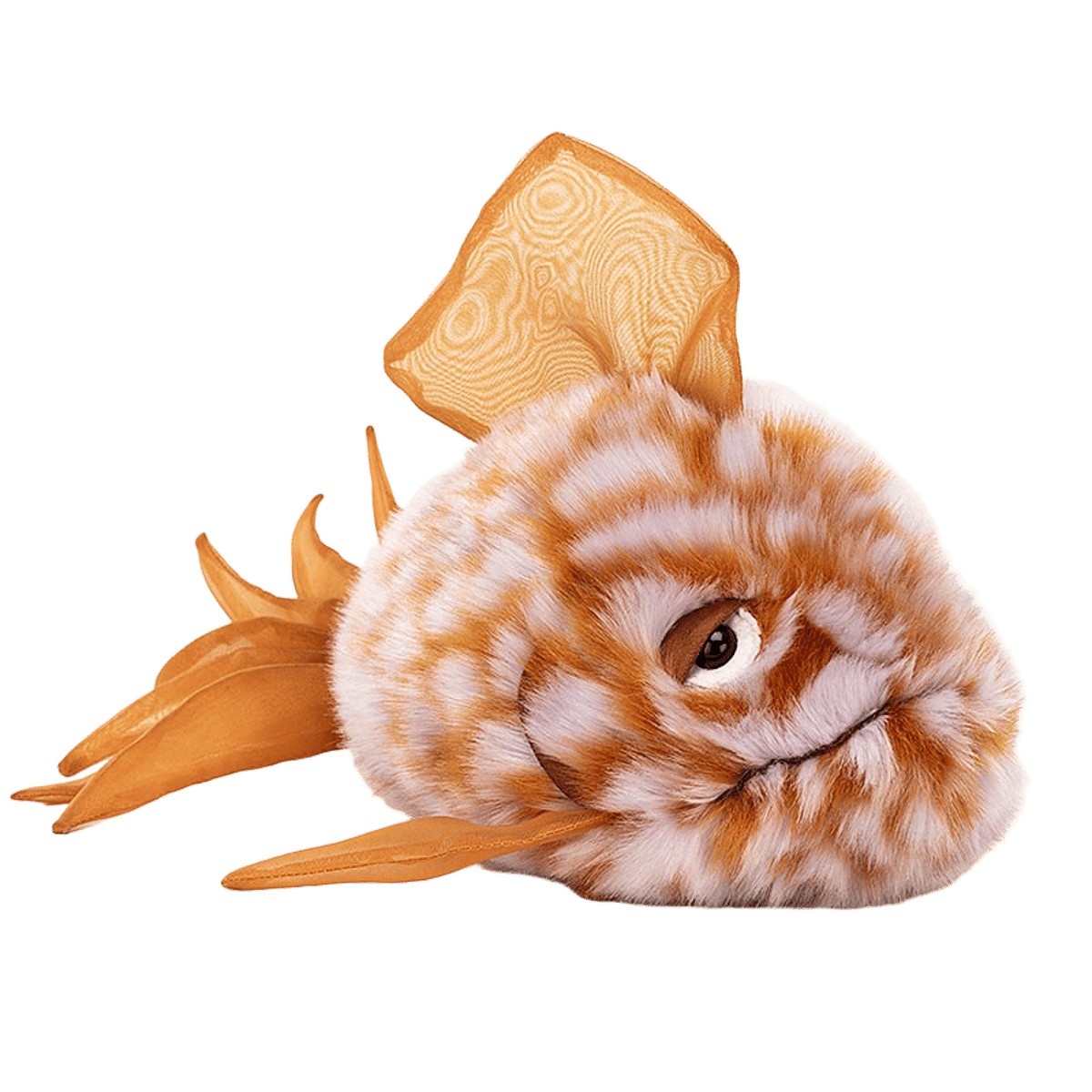 Grumpy Orange Fish