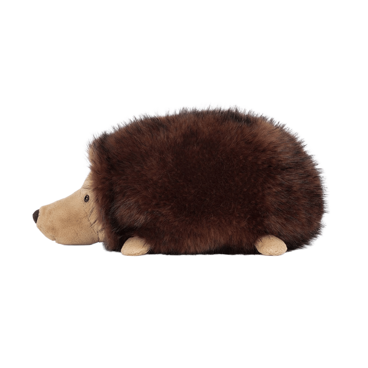 Hamish Hedgehog
