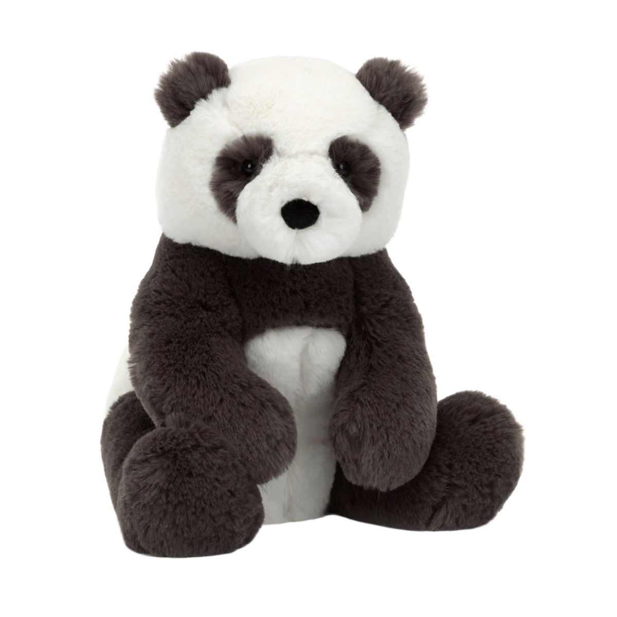 Harry Panda Cub