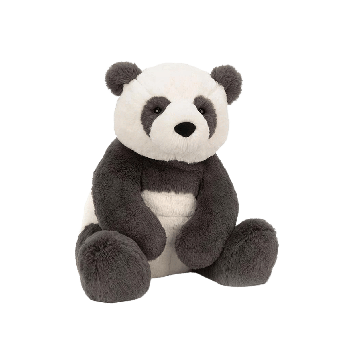 Harry Panda Cub