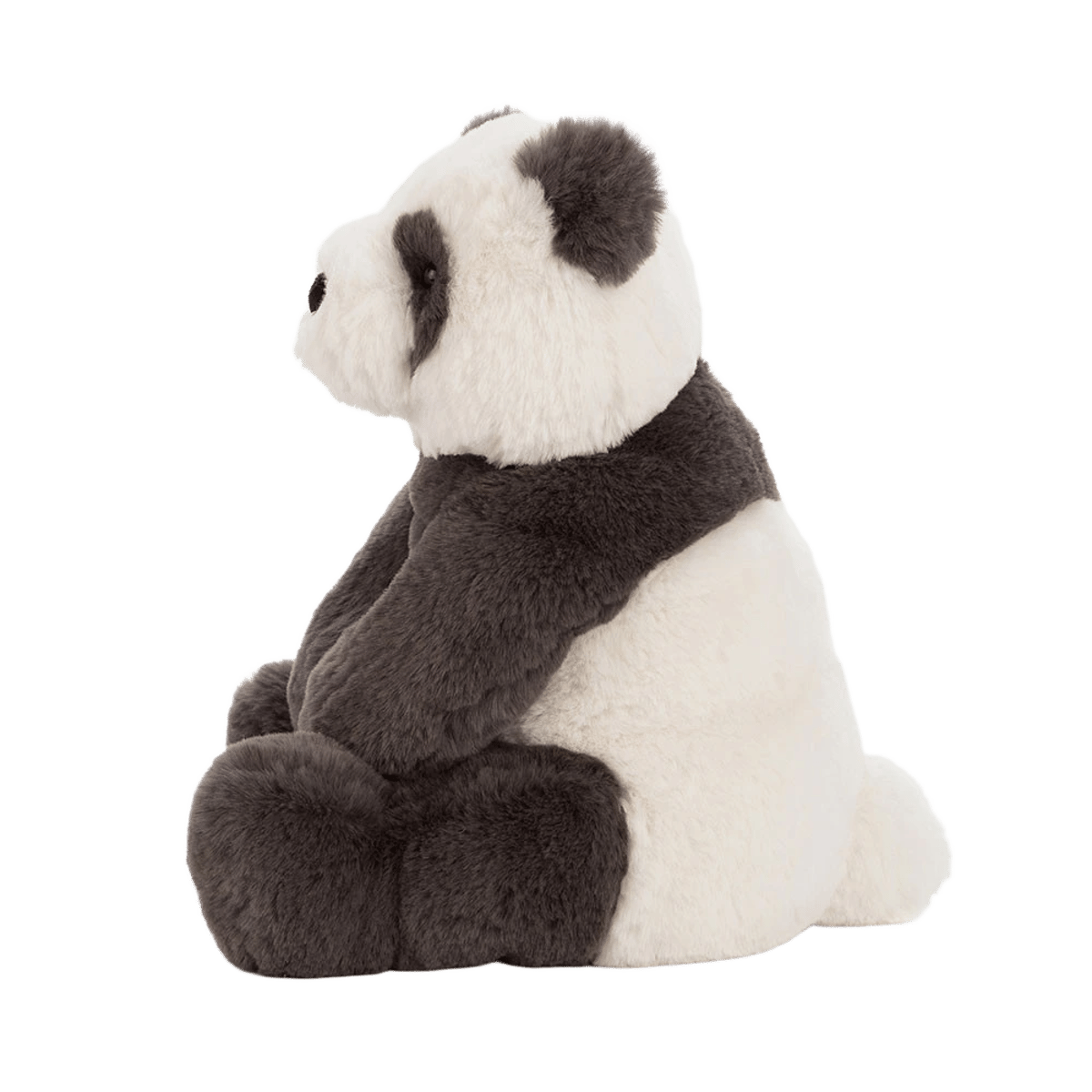 Harry Panda Cub