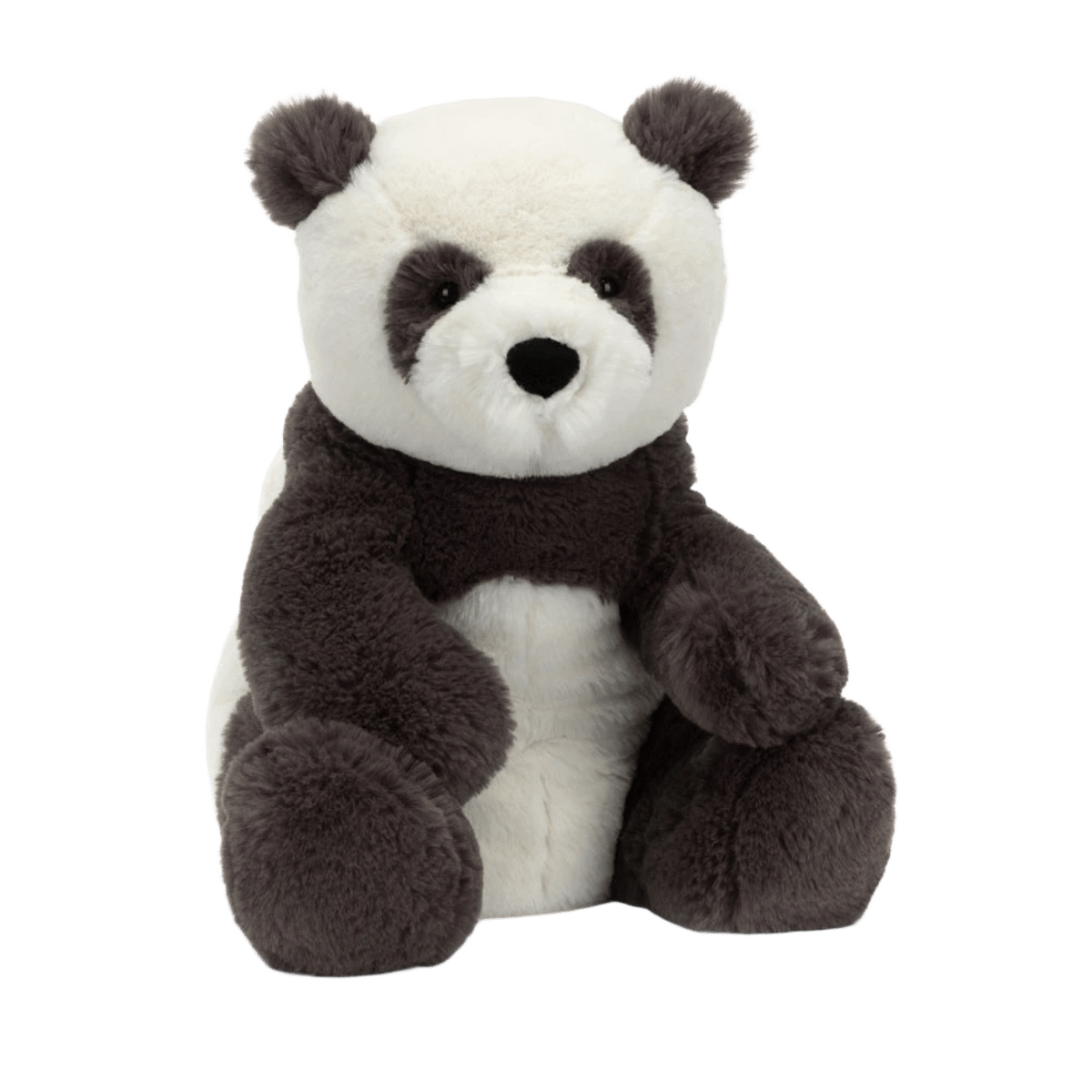 Harry Panda Cub