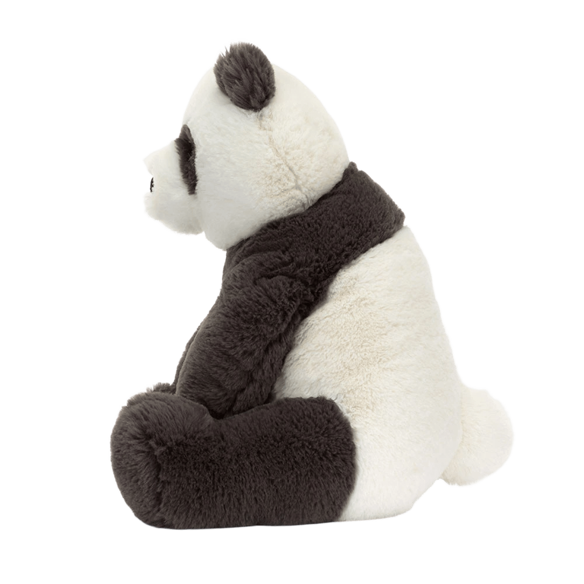 Harry Panda Cub