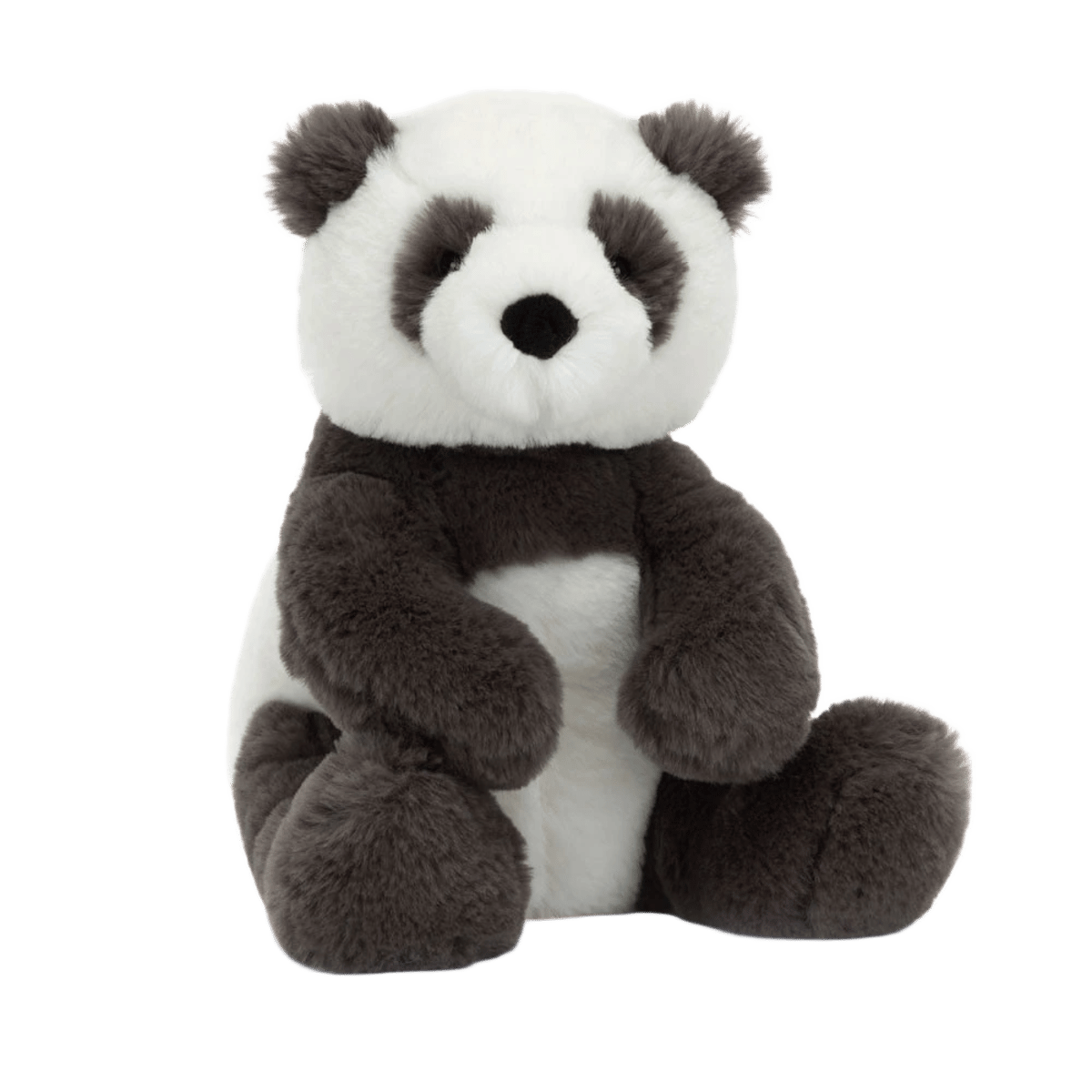 Harry Panda Cub