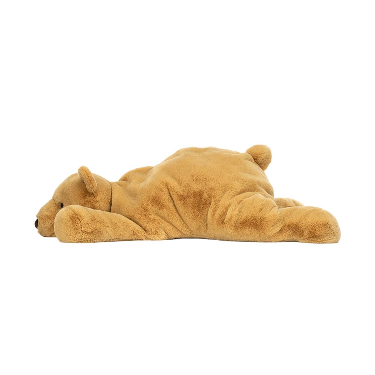 Harvey Bear