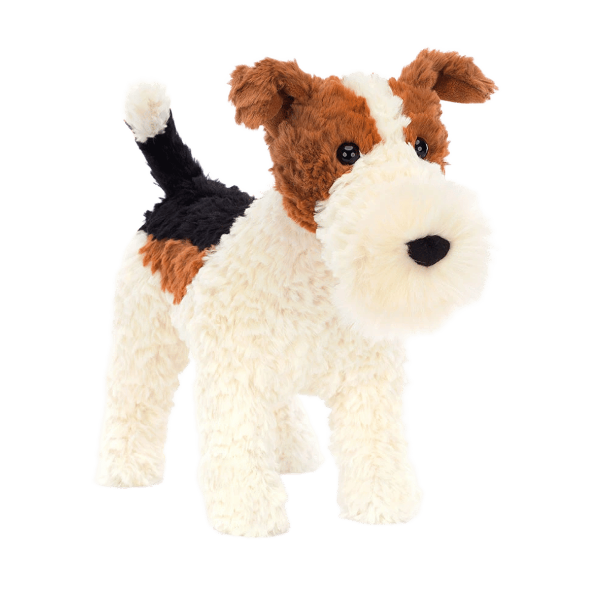 Hector Fox Terrier