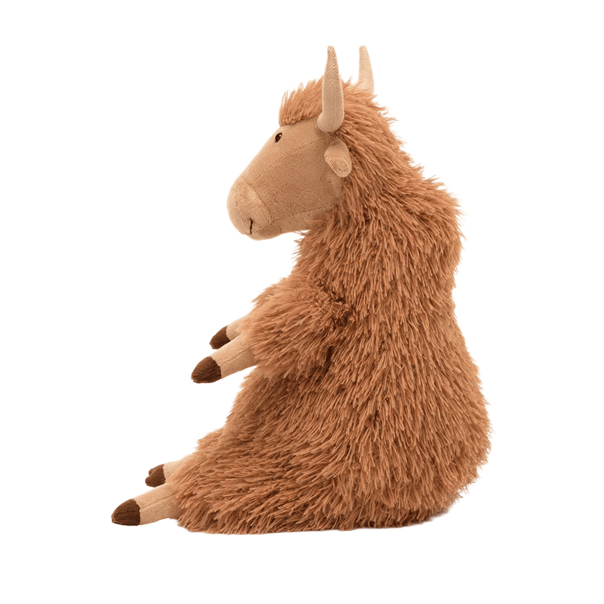 Herbie Highland Cow