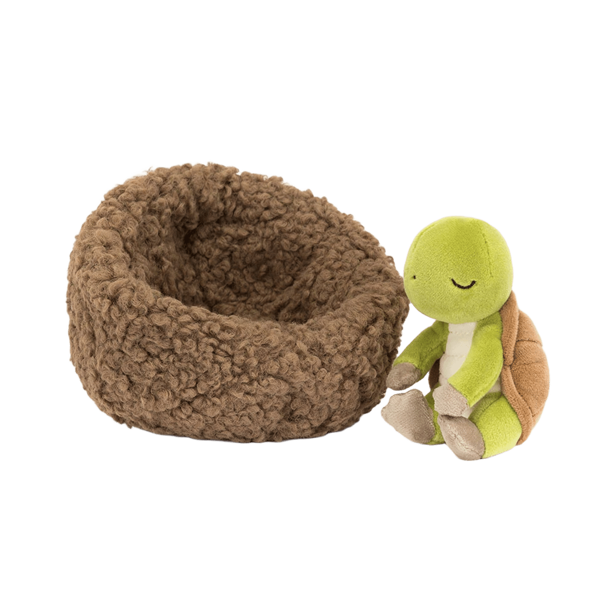 Hibernating Tortoise