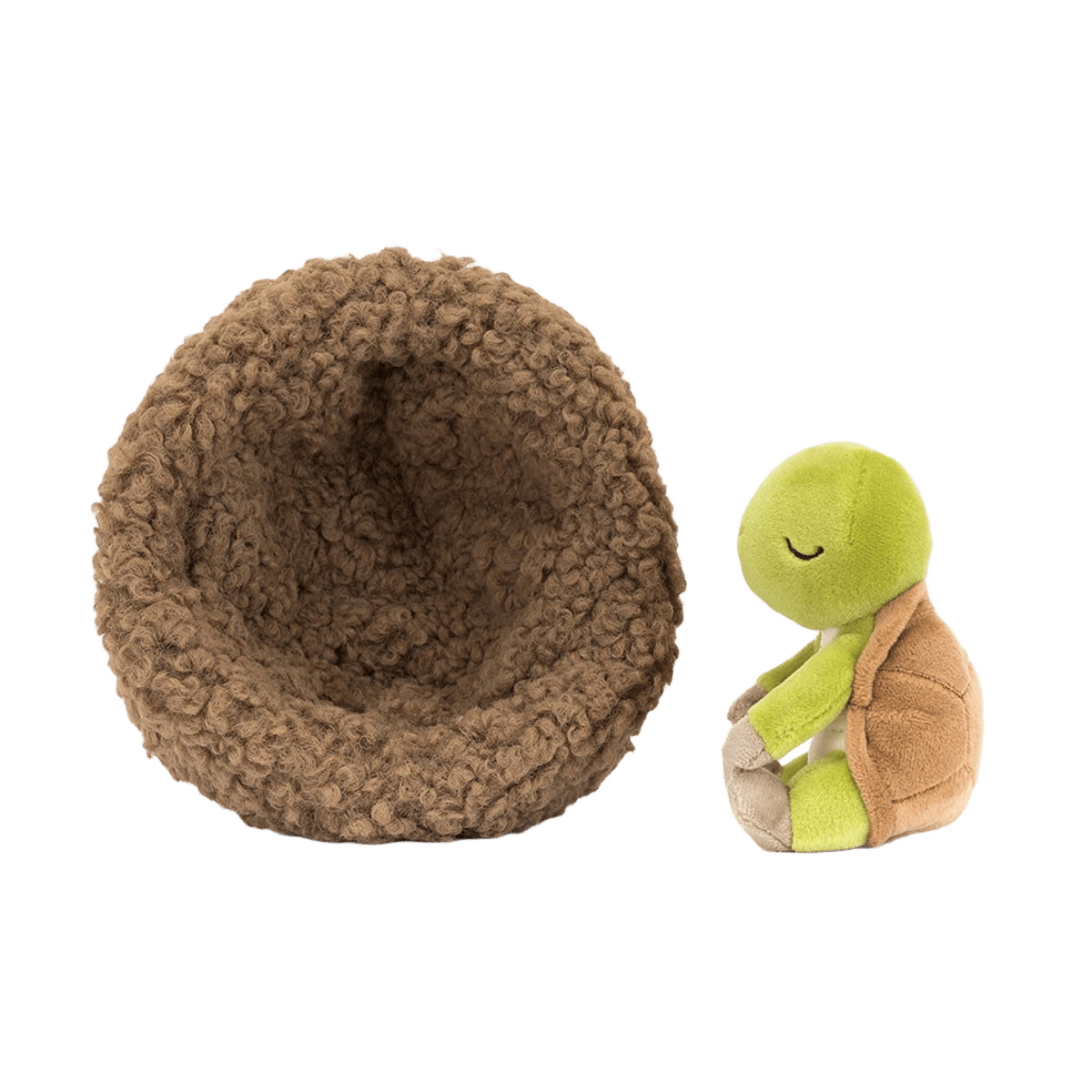 Hibernating Tortoise
