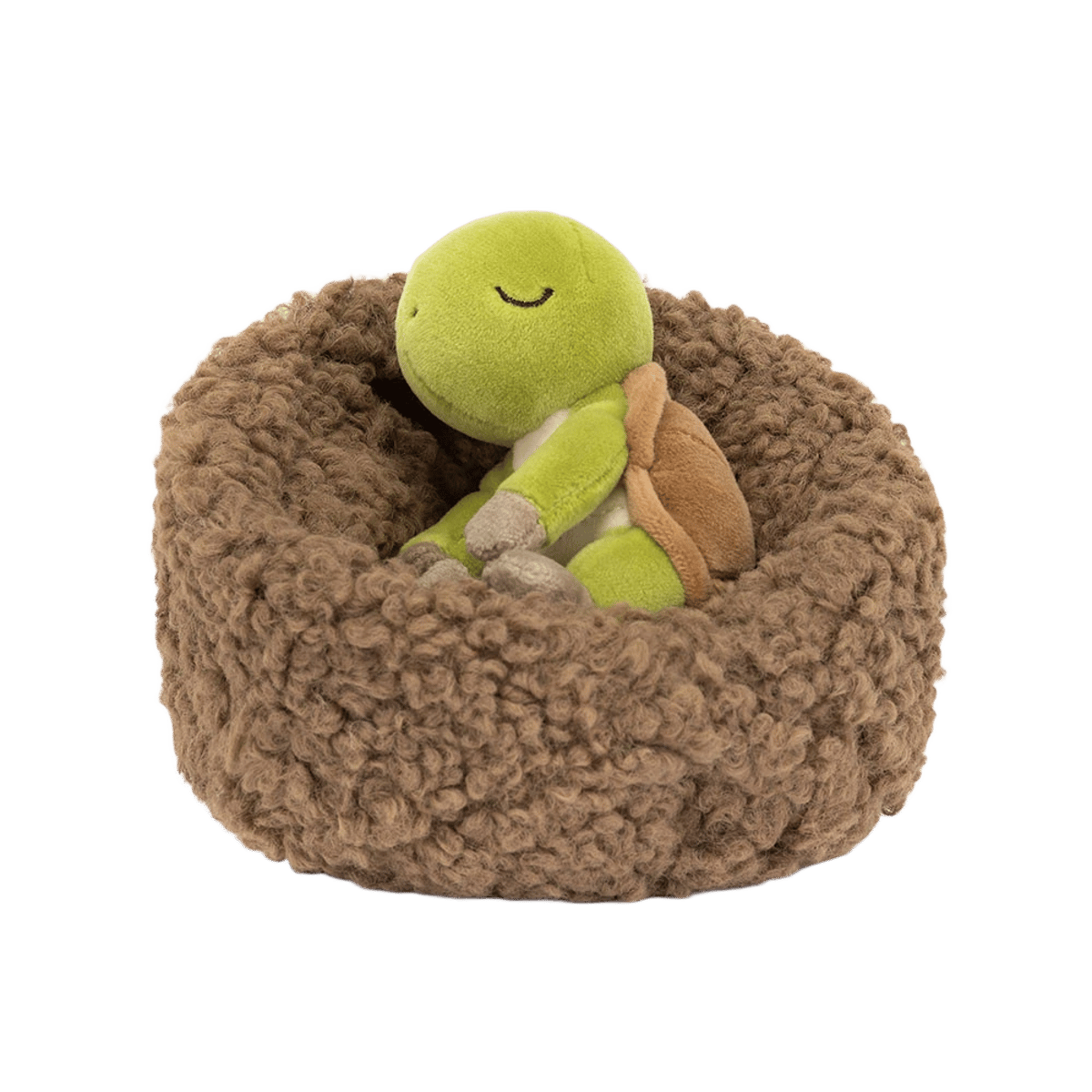 Hibernating Tortoise