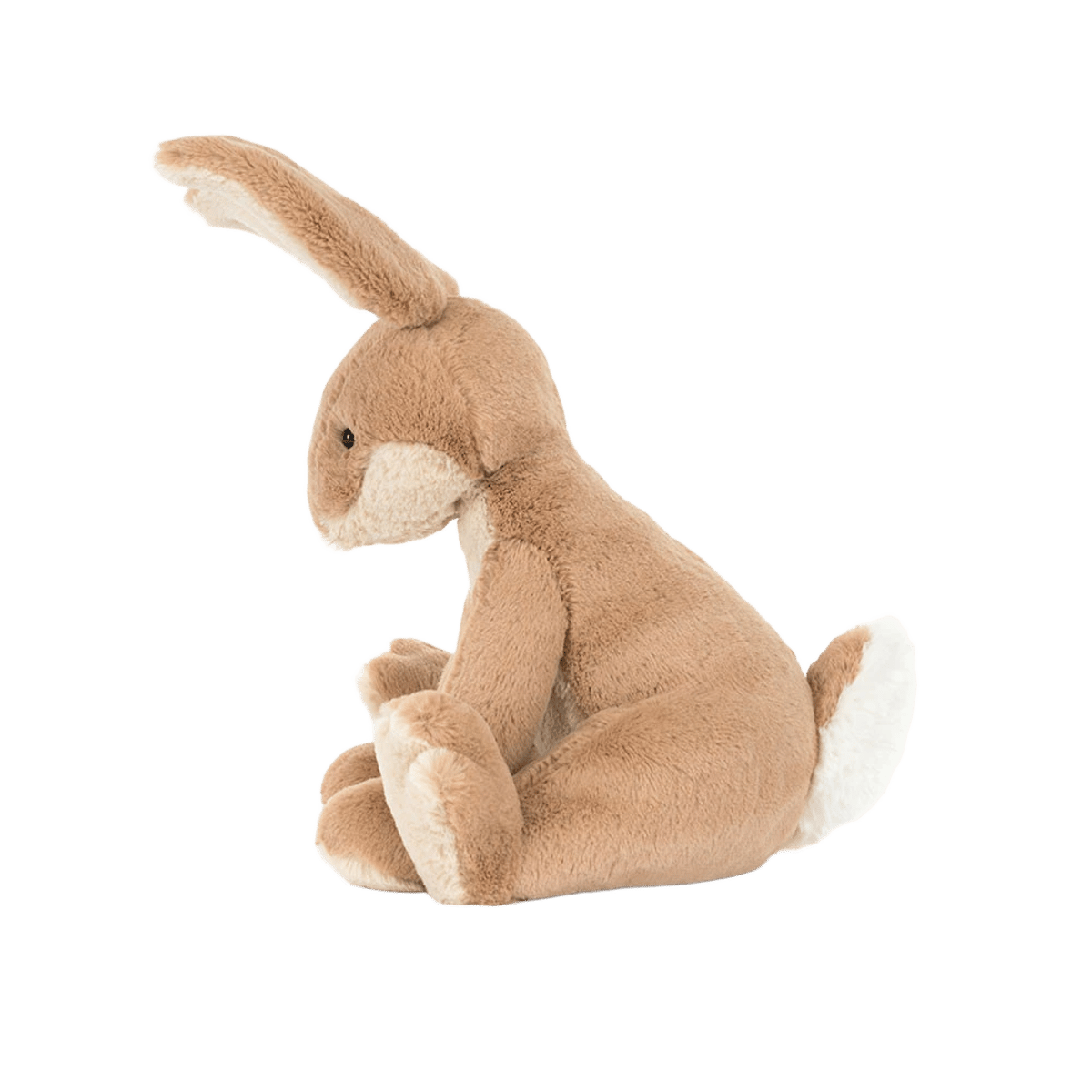 Horticus Hare