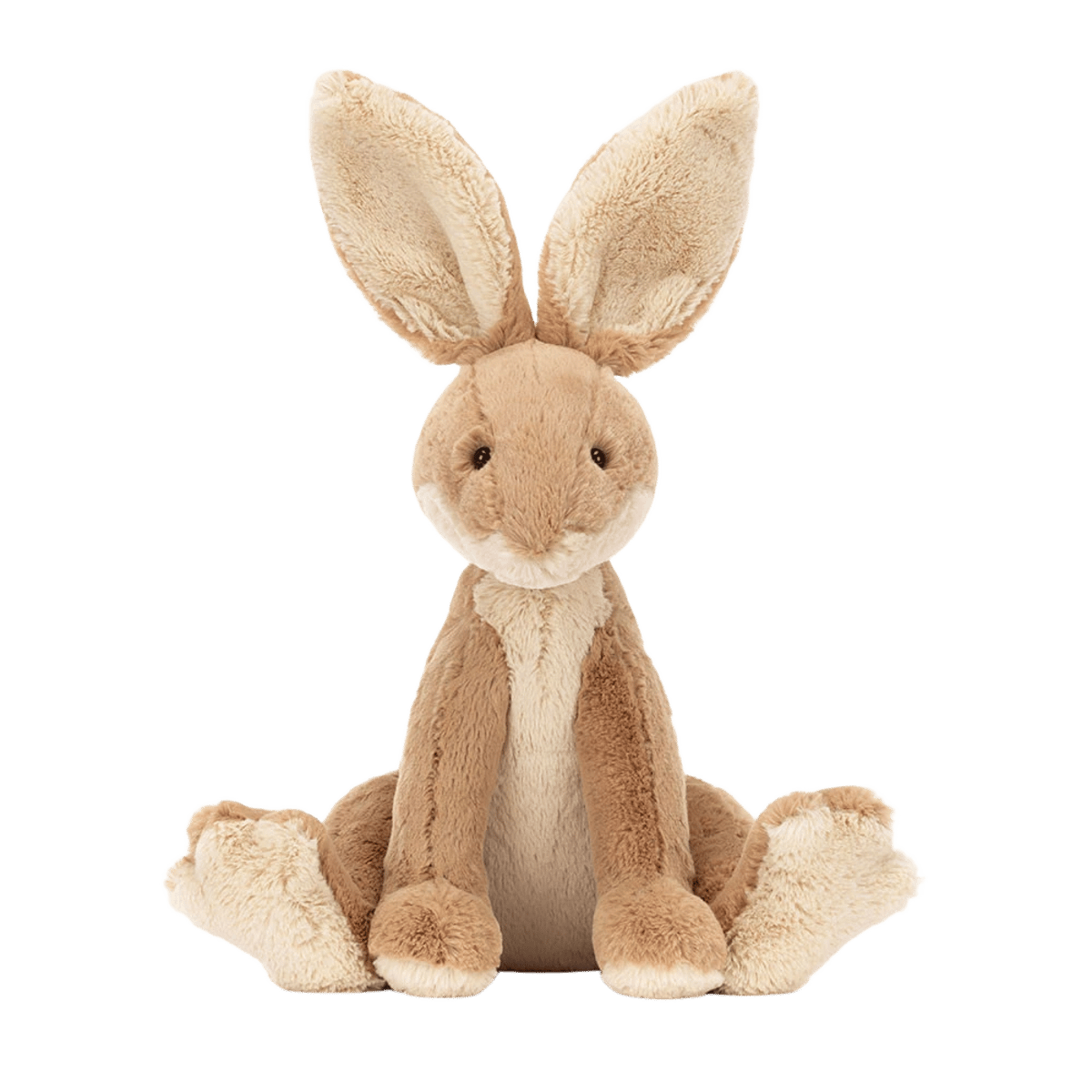Horticus Hare