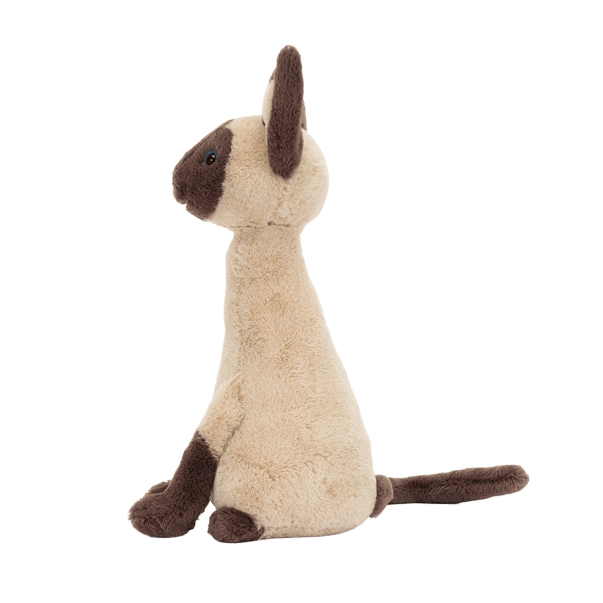 Iris Siamese Cat