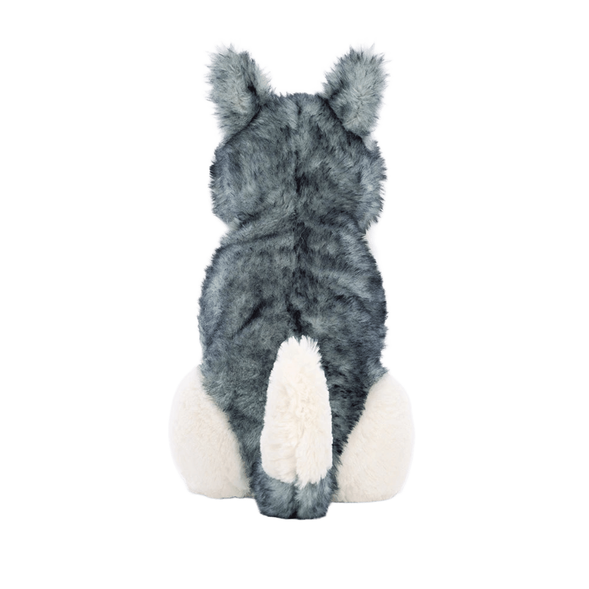 Jackson Husky