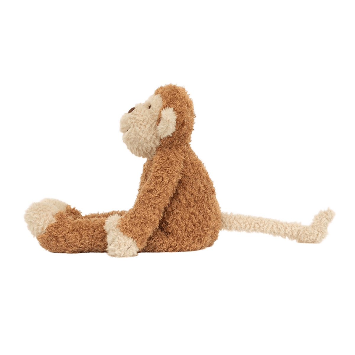 Junglie Monkey