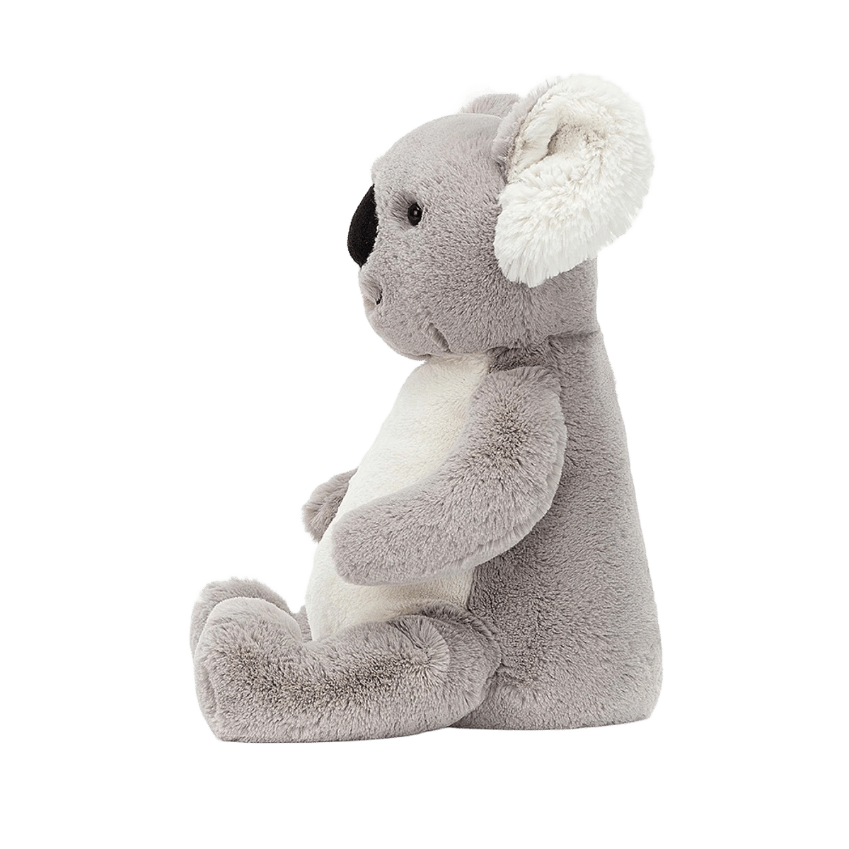 Kai Koala