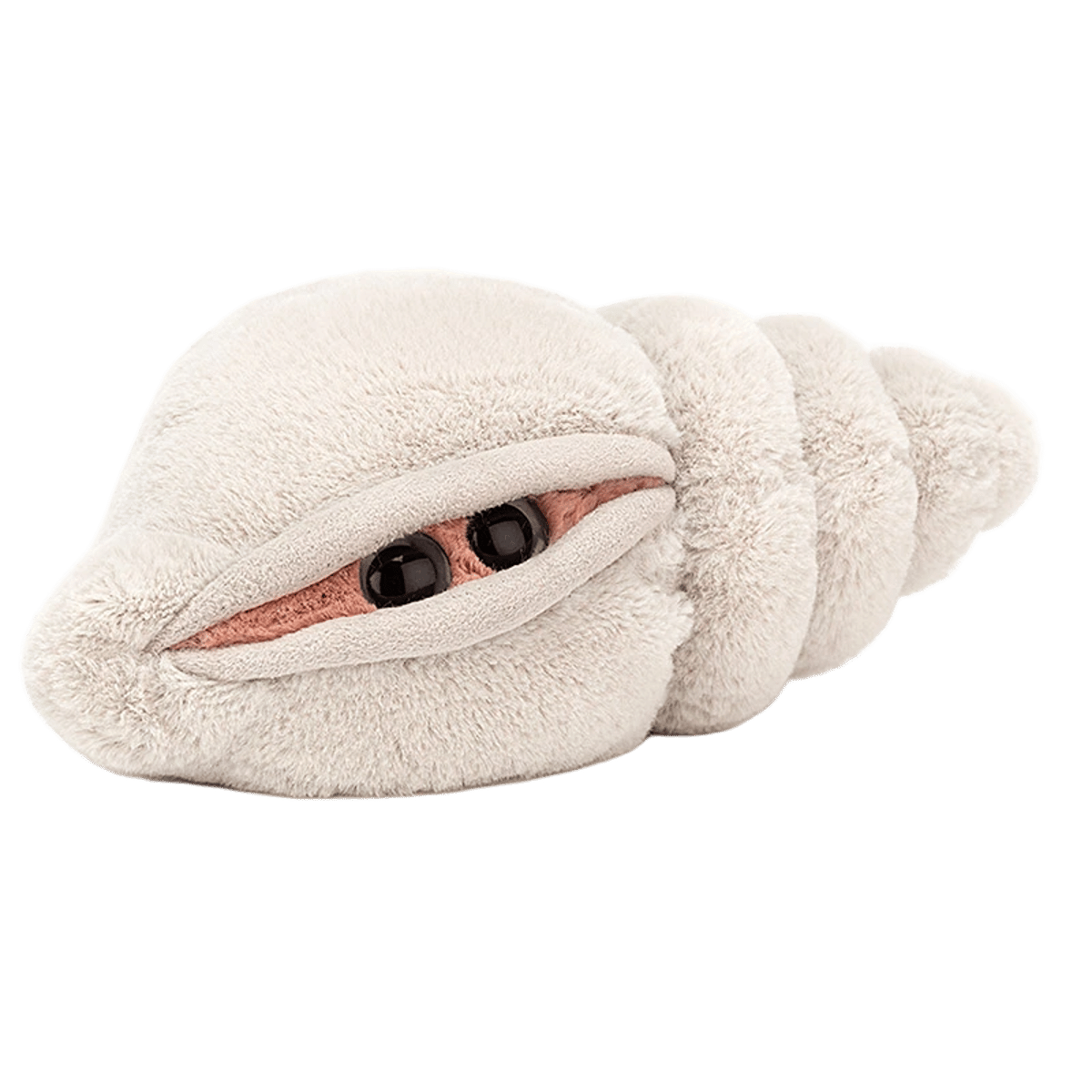Katie Conch