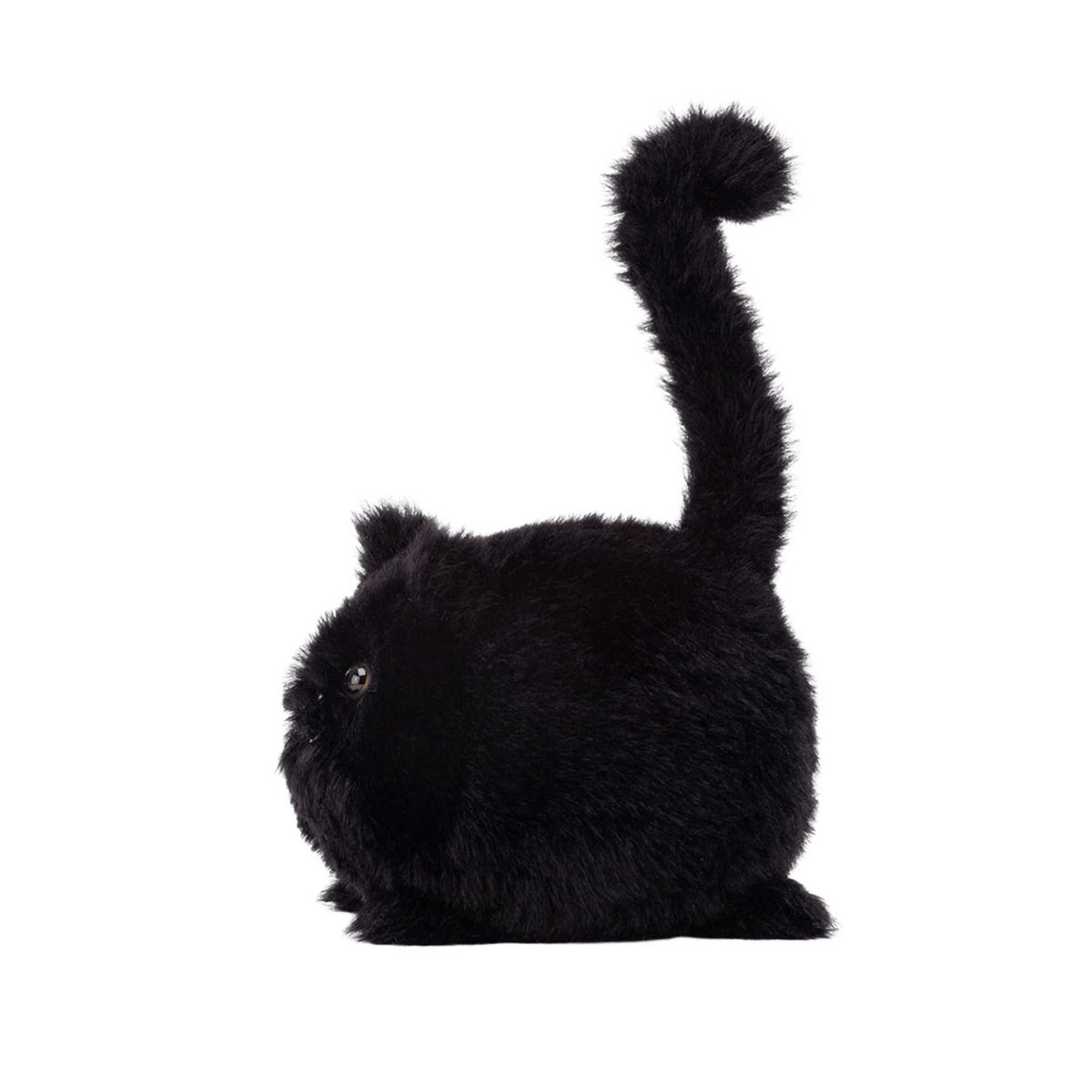 Kitten Caboodle - Black