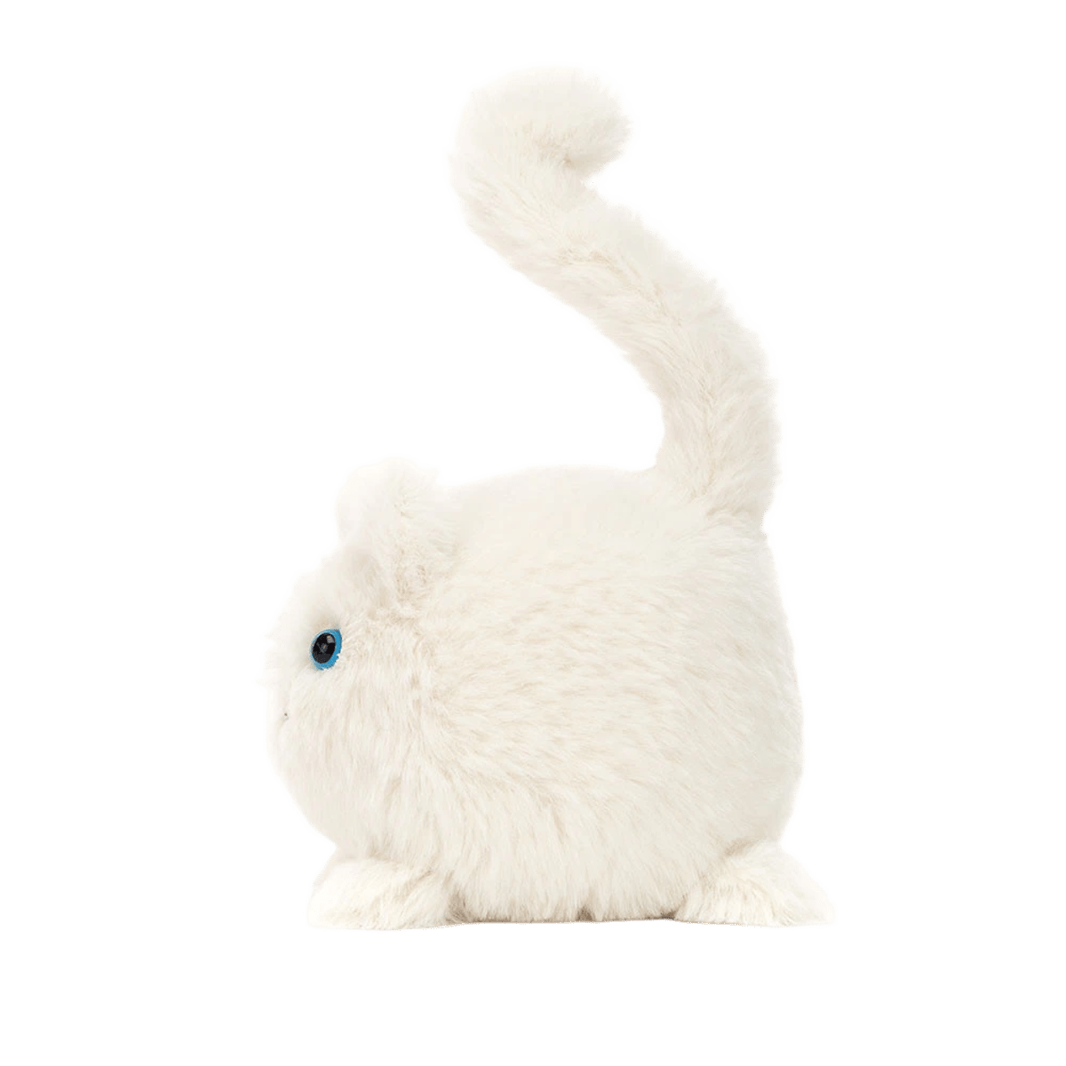 Kitten Caboodle - Cream