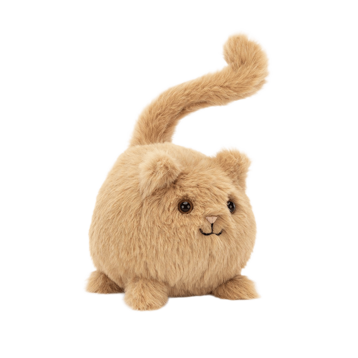 Kitten Caboodle - Ginger