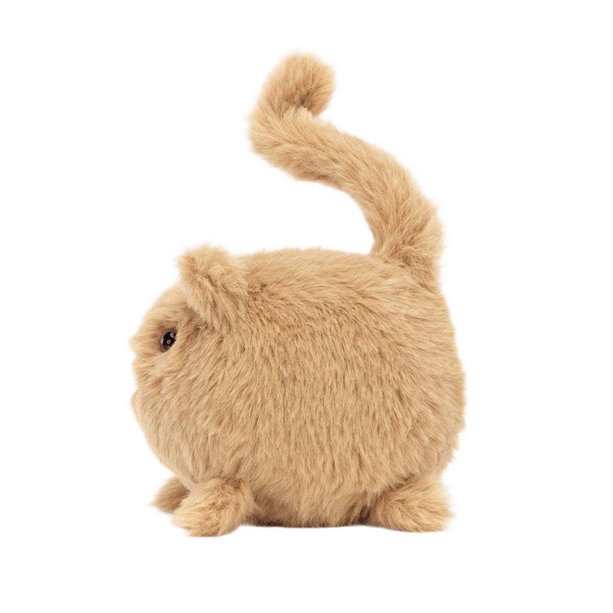Kitten Caboodle - Ginger