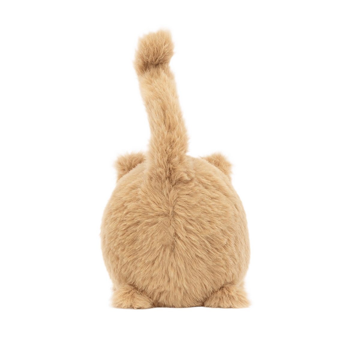 Kitten Caboodle - Ginger