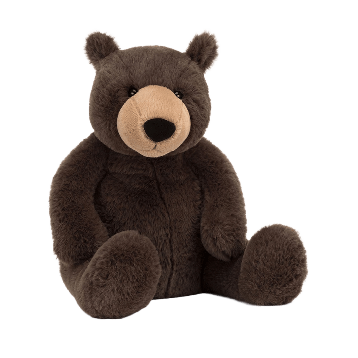 Knox Bear