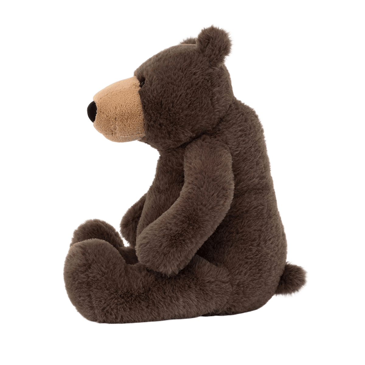 Knox Bear