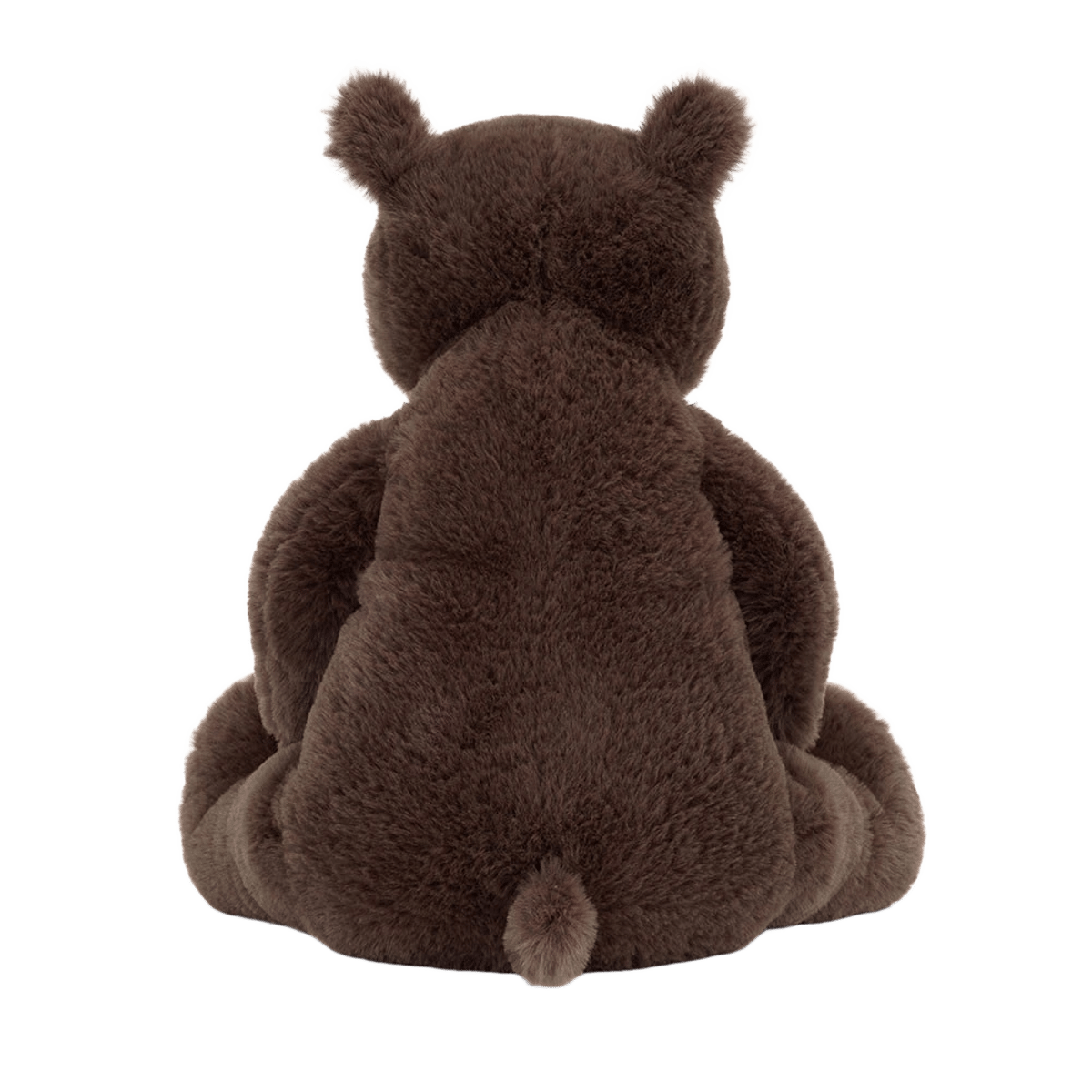 Knox Bear
