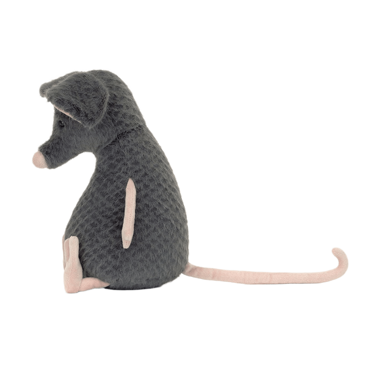 Lachlan Sad Rat