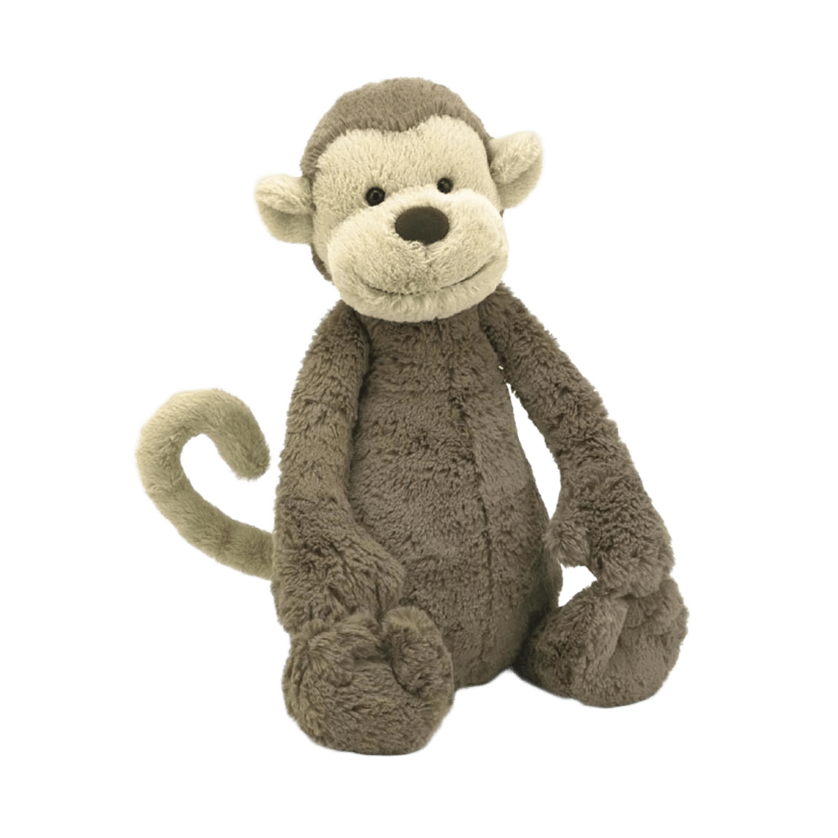 Bashful Monkey