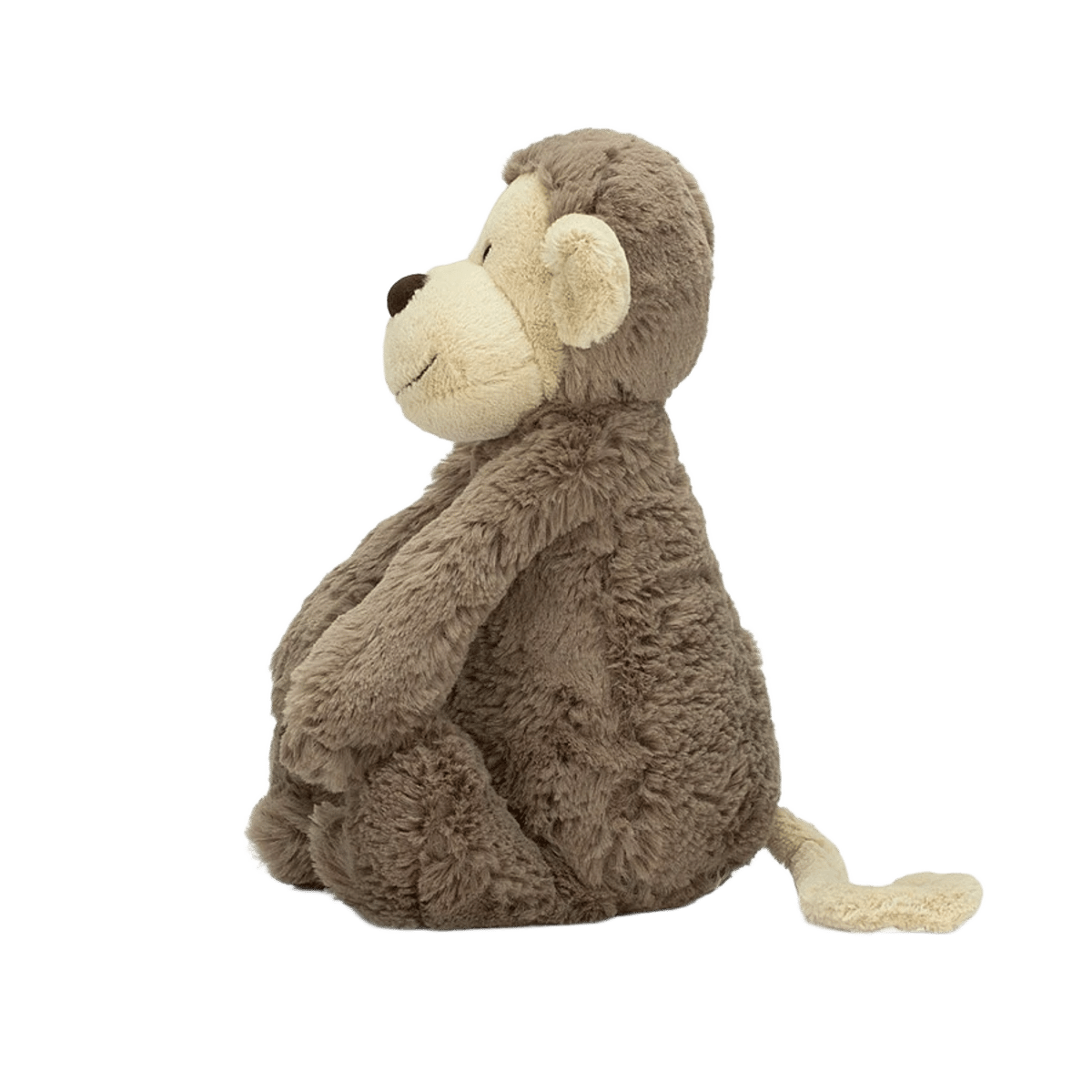 Bashful Monkey