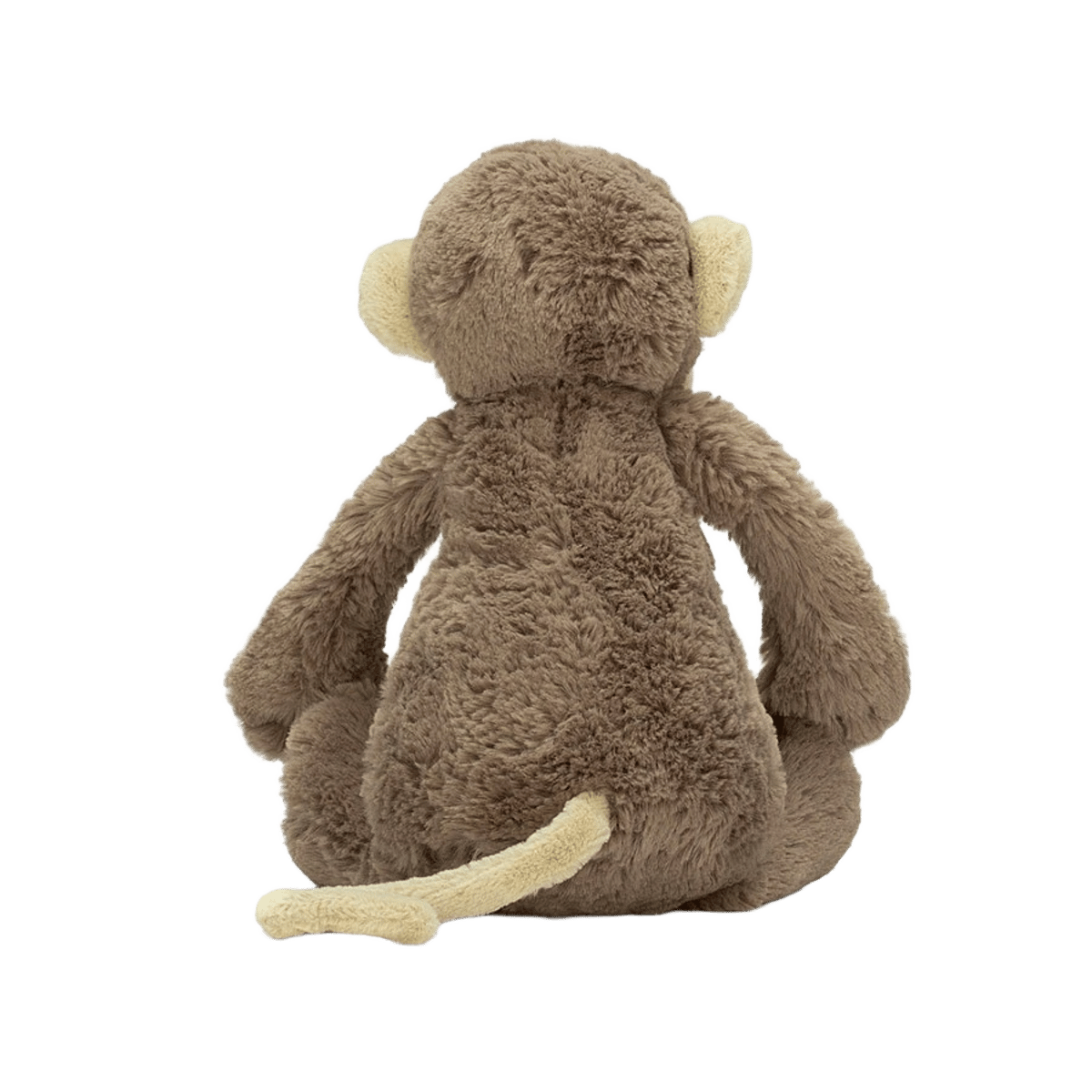 Bashful Monkey