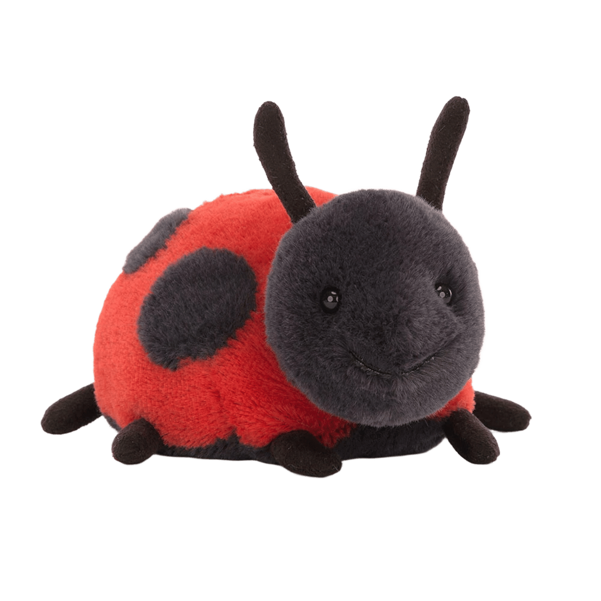 Layla Ladybird