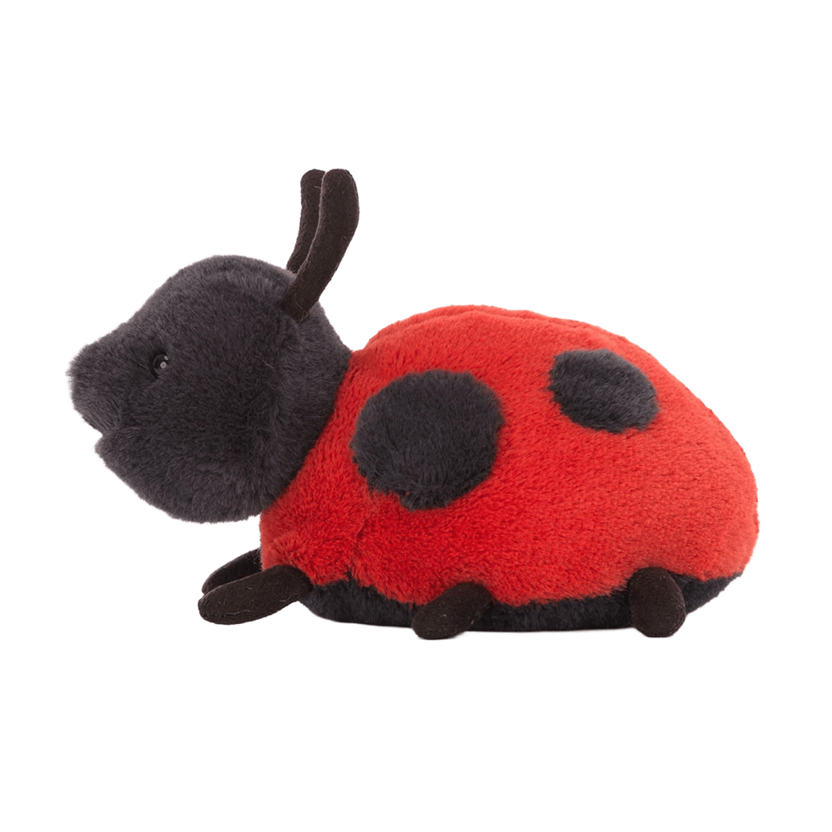Layla Ladybird