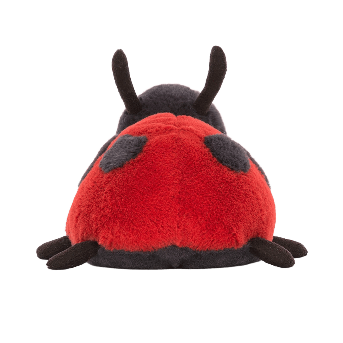 Layla Ladybird