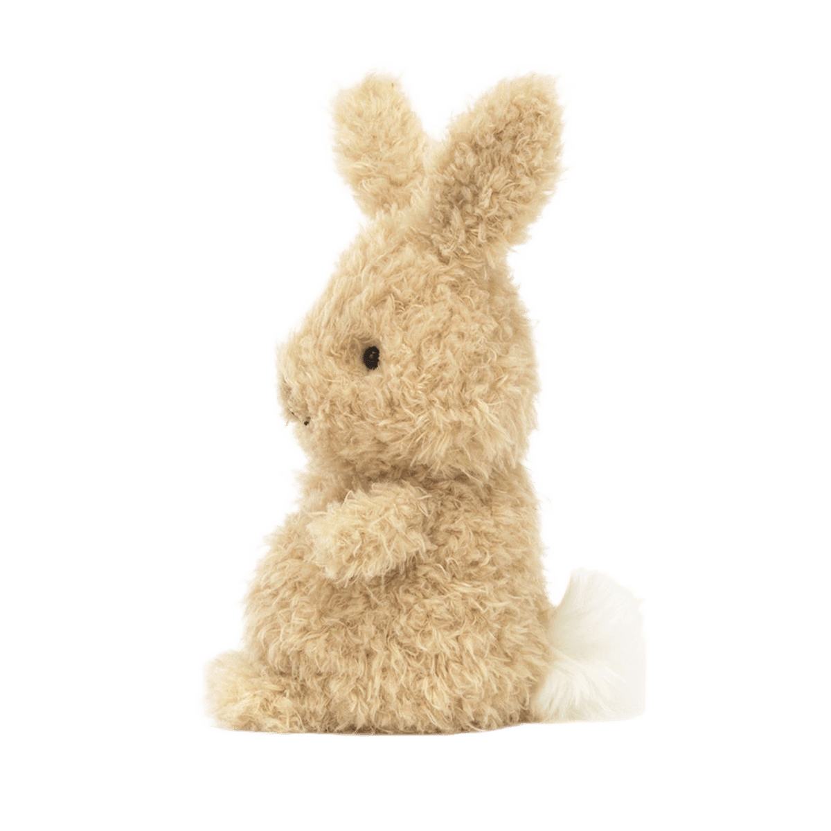Little Bunny