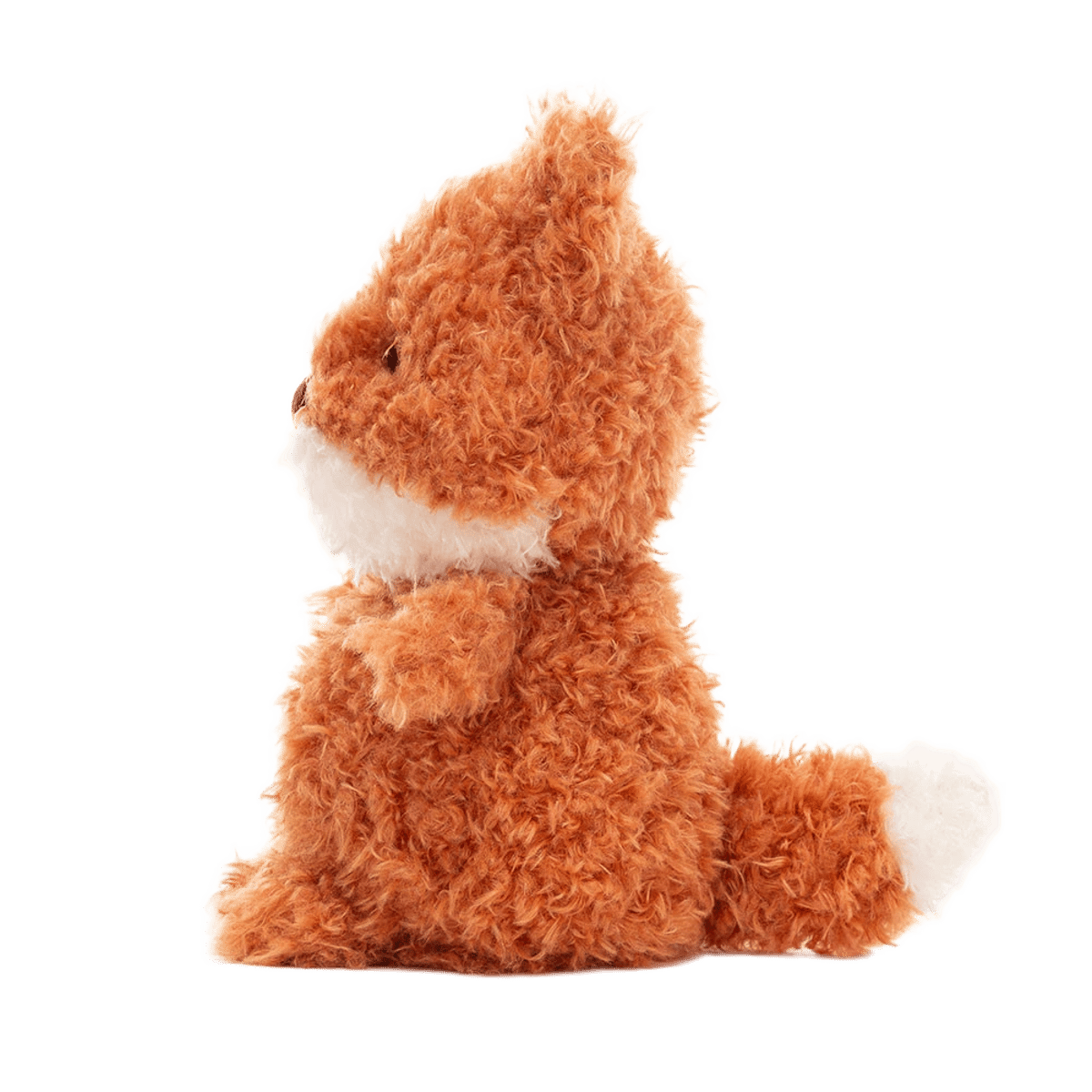 Little Fox