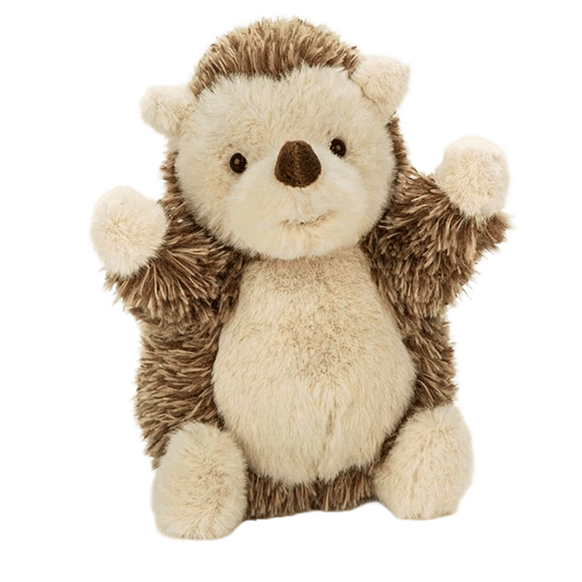Little Hedgehog