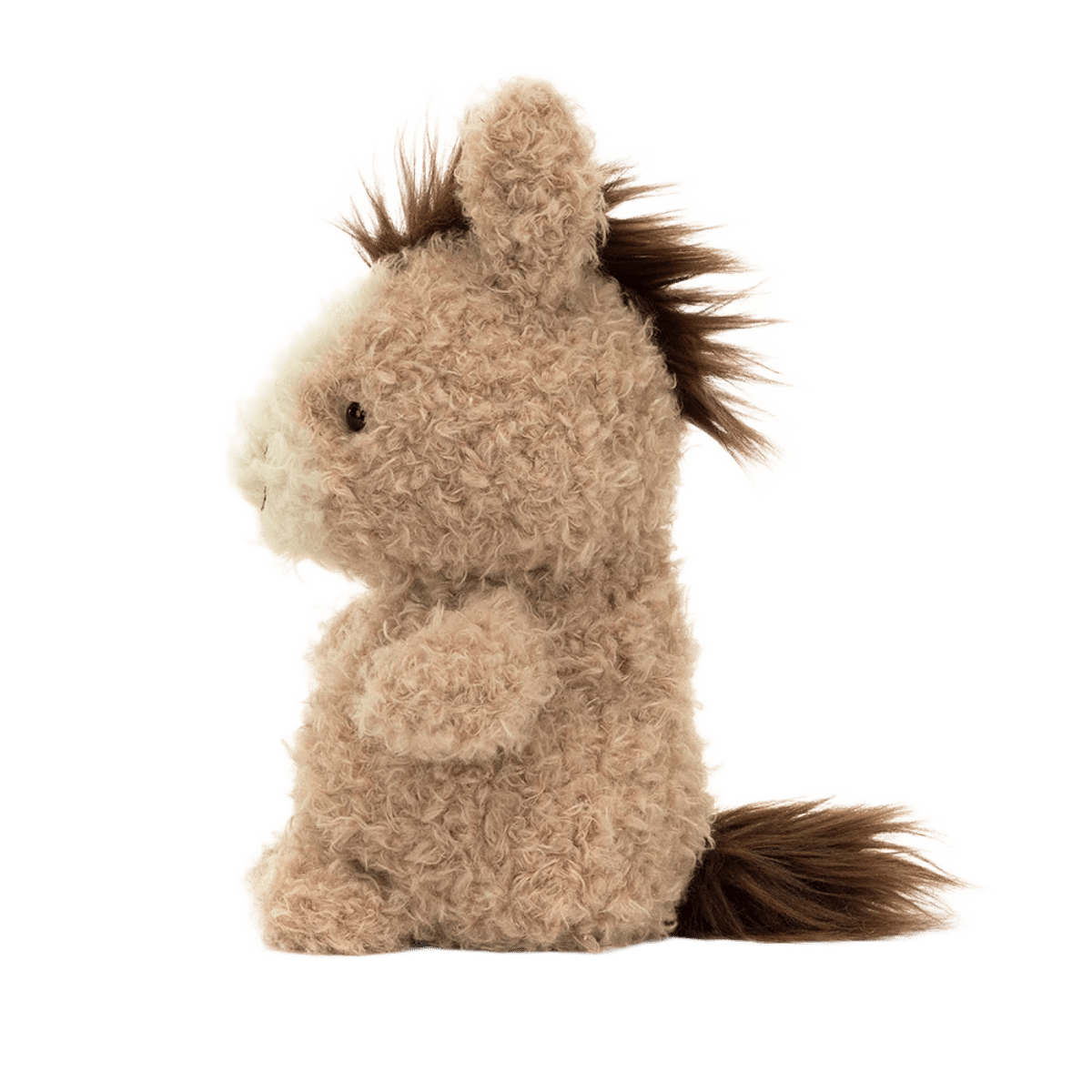 Little Horse