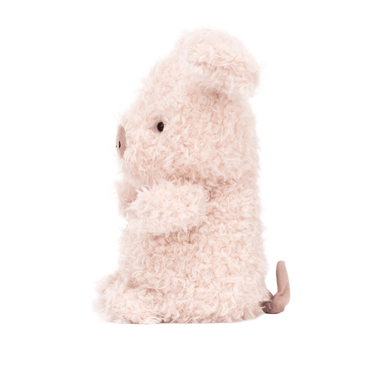 Little Pig