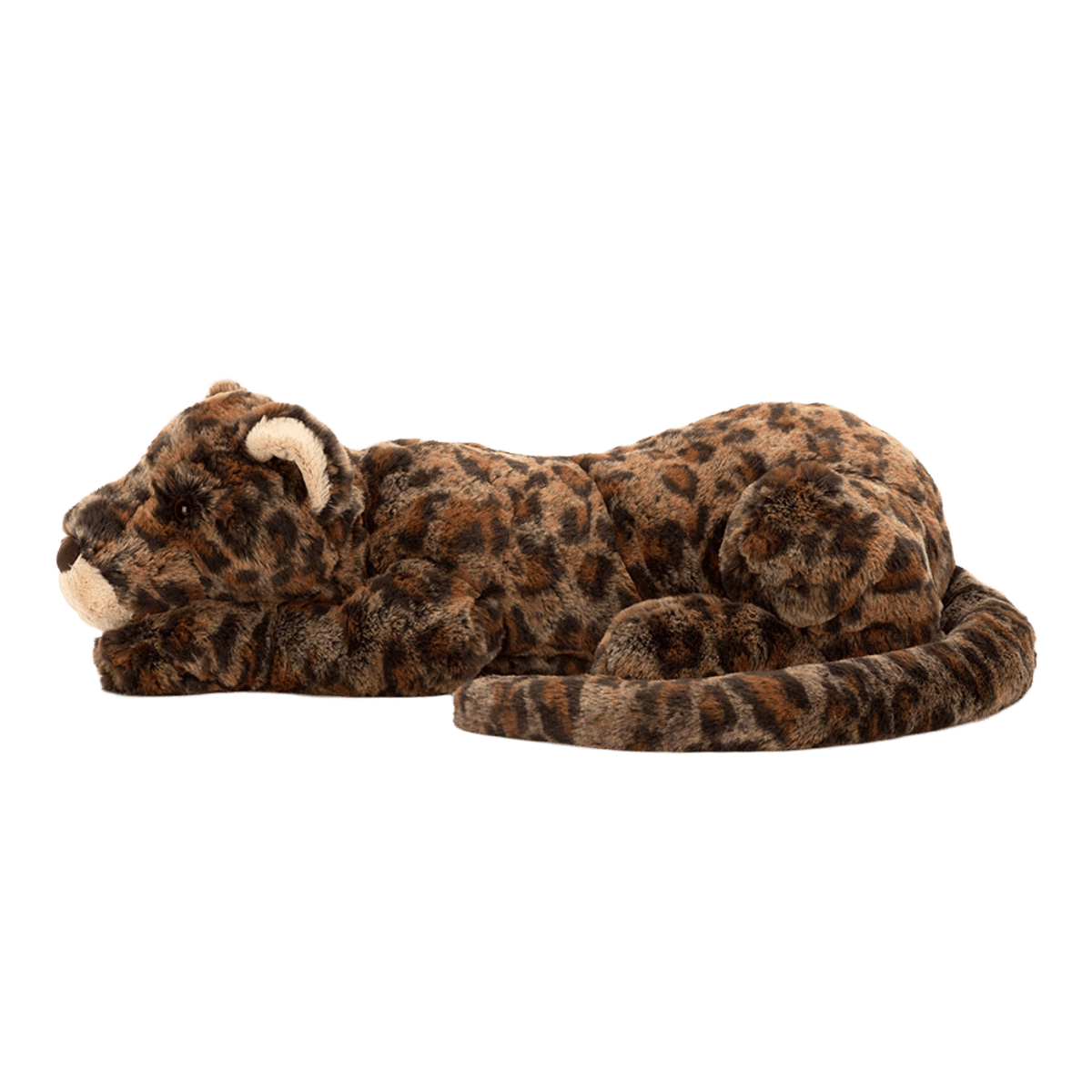 Livi Leopard
