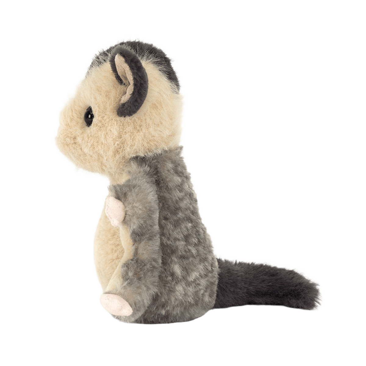 Lolly Sugar Glider