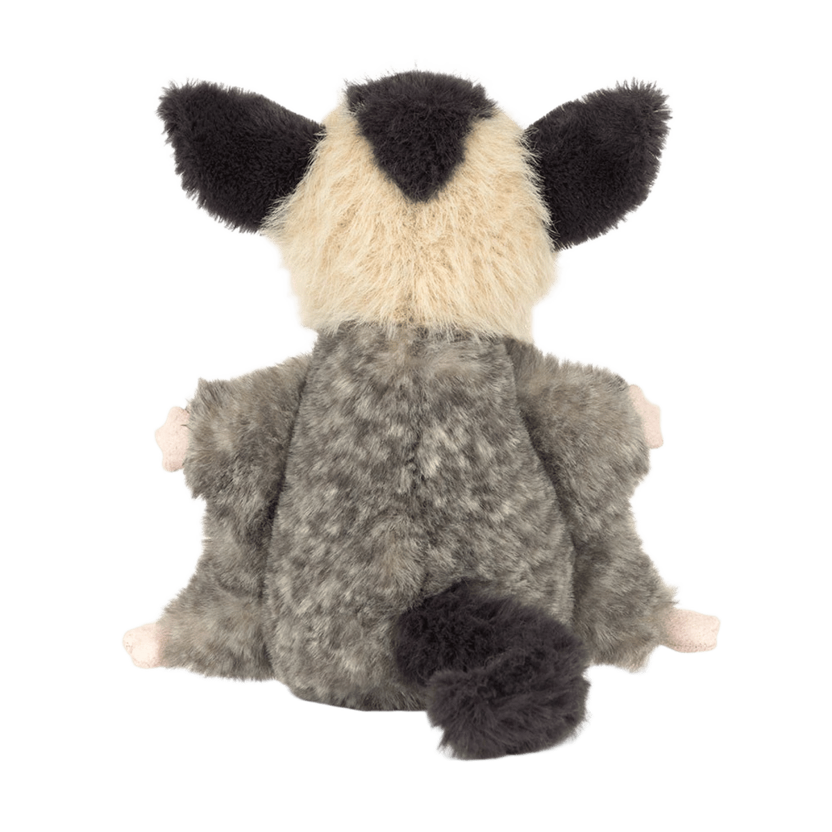 Lolly Sugar Glider