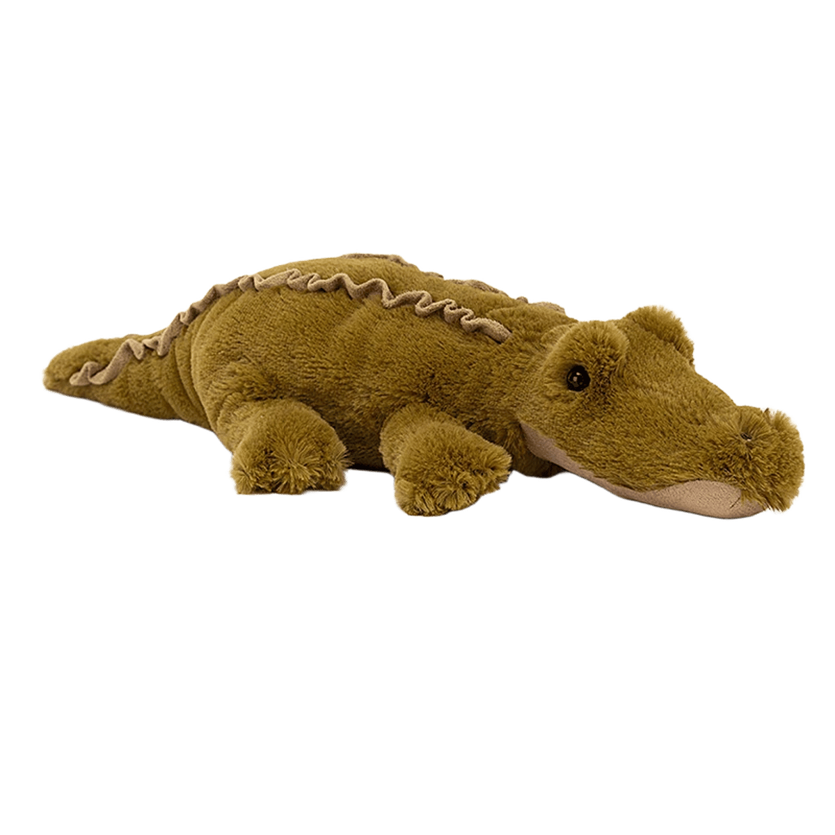 Lollybob Caiman