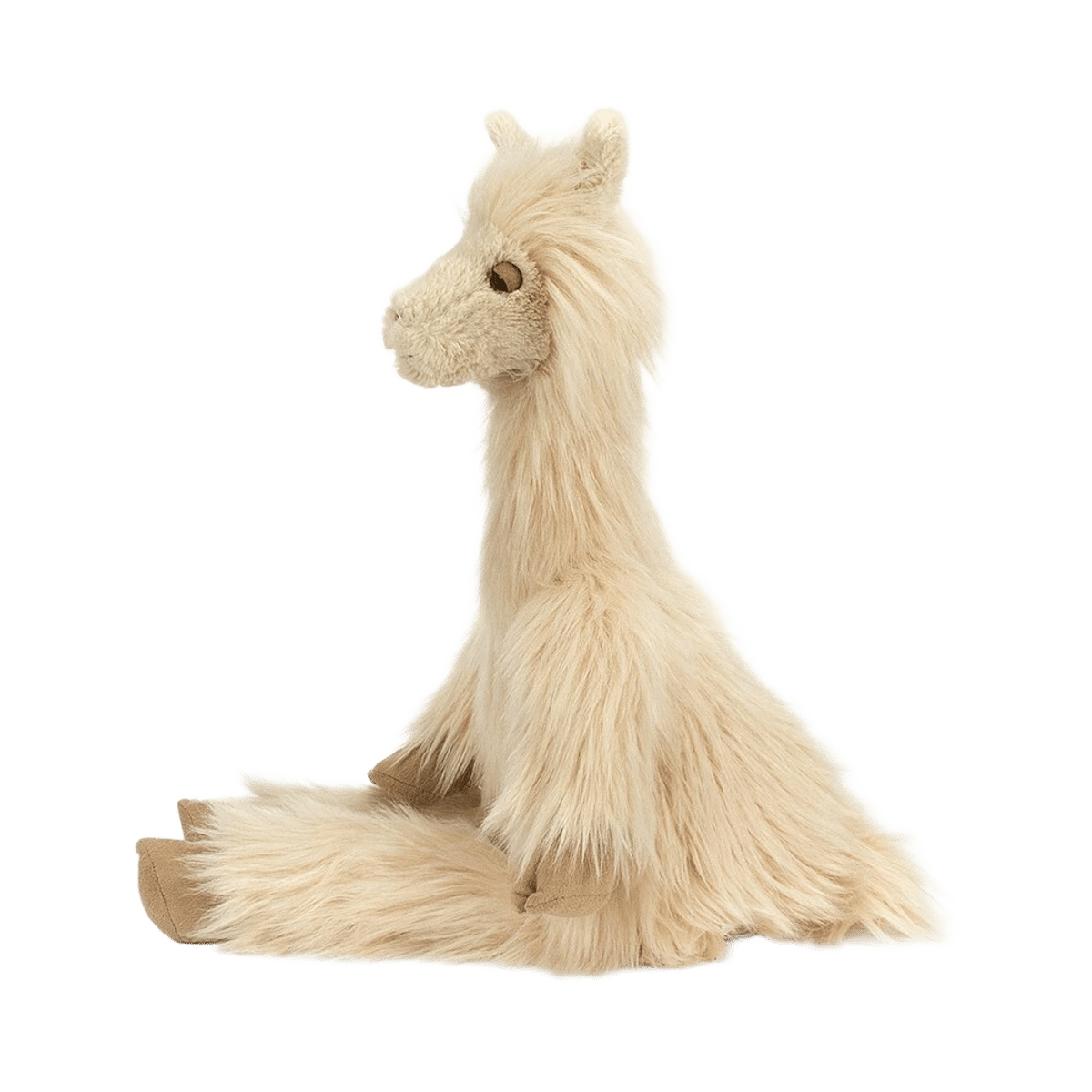 Luis Llama
