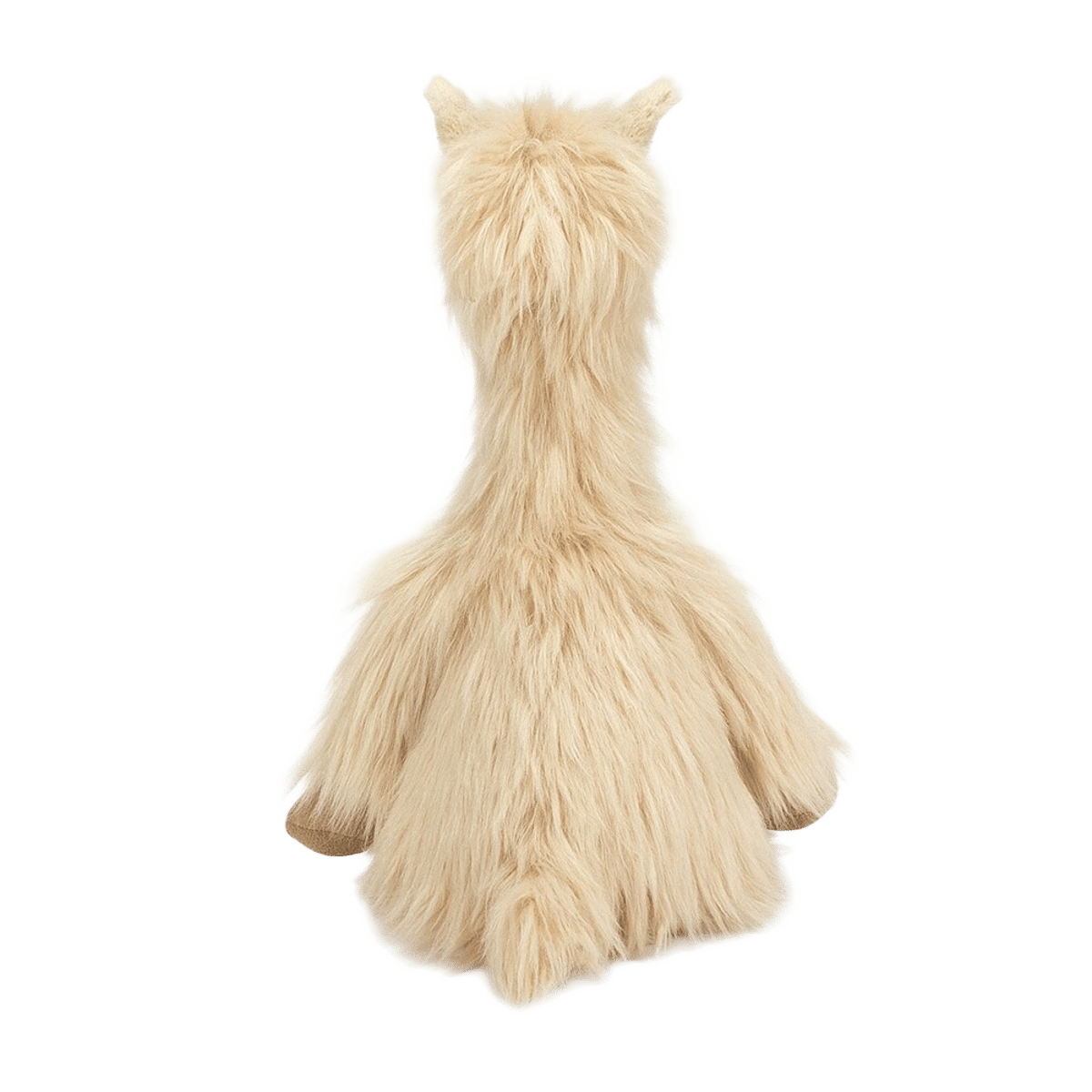 Luis Llama