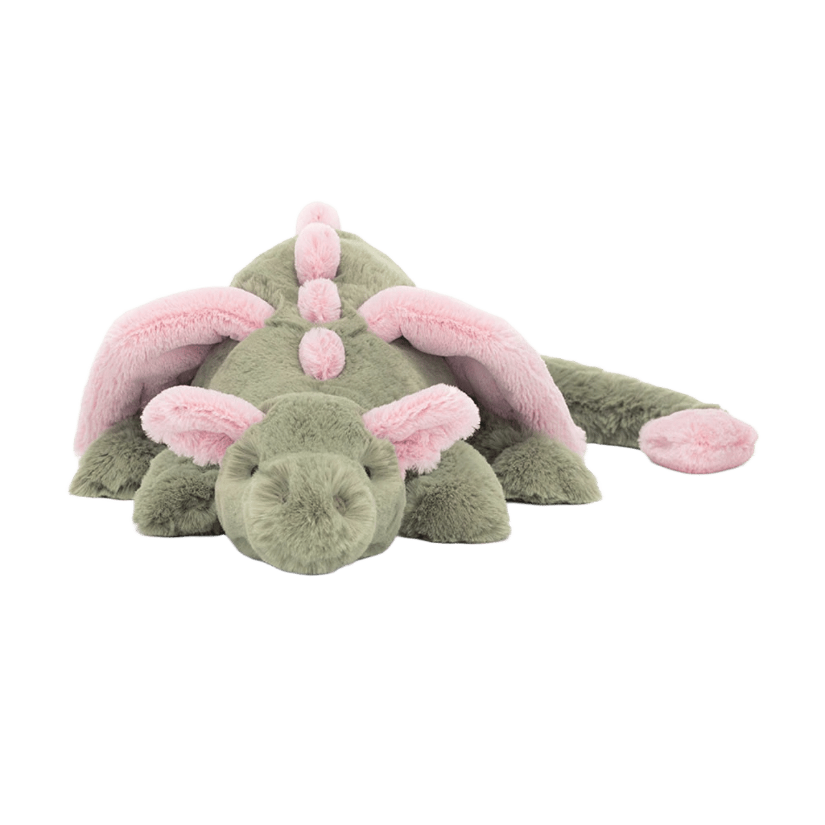 Malachy Dragon